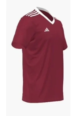 Adidas CU ENT22 Hoody Women