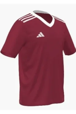 Adidas CU ENT22 Track Pant Youth