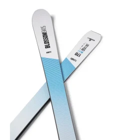 Blossom  Turbo AM 77 + Multiflex PRD 12