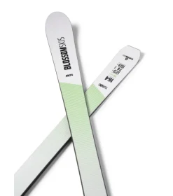 Blossom  Turbo AM 74 + Multiflex PRD12