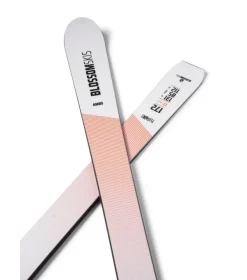 Blossom  Turbo AM 85 + Multiflex PRD 12