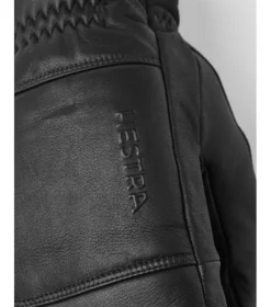 Hestra Omni Mitt