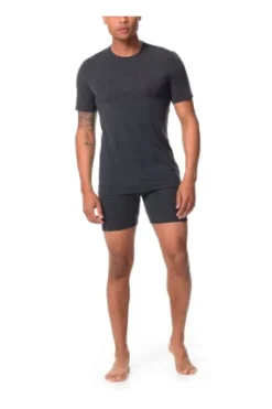 Icebreaker Mens 200 Oasis SS Crewe