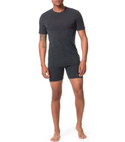 Icebreaker Mens Anatomica SS Crewe