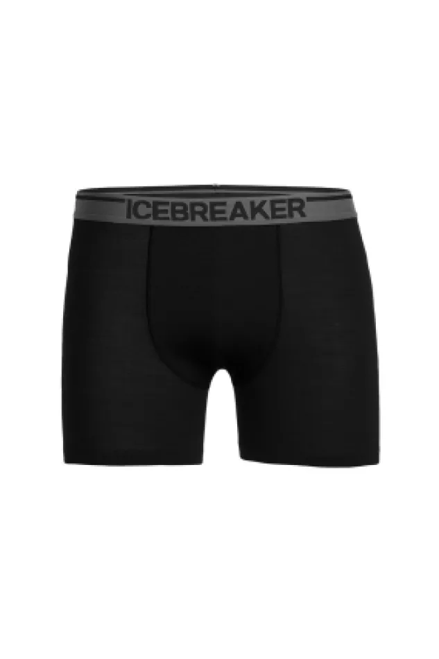 Icebreaker Mens Anatomica SS Crewe