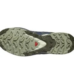 Salomon XA Pro 3D V9