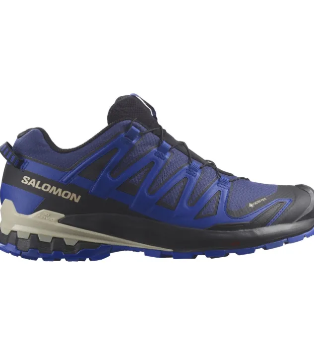 Salomon XA Pro 3D V9 GTX