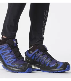 Salomon XA Pro 3D V9 GTX