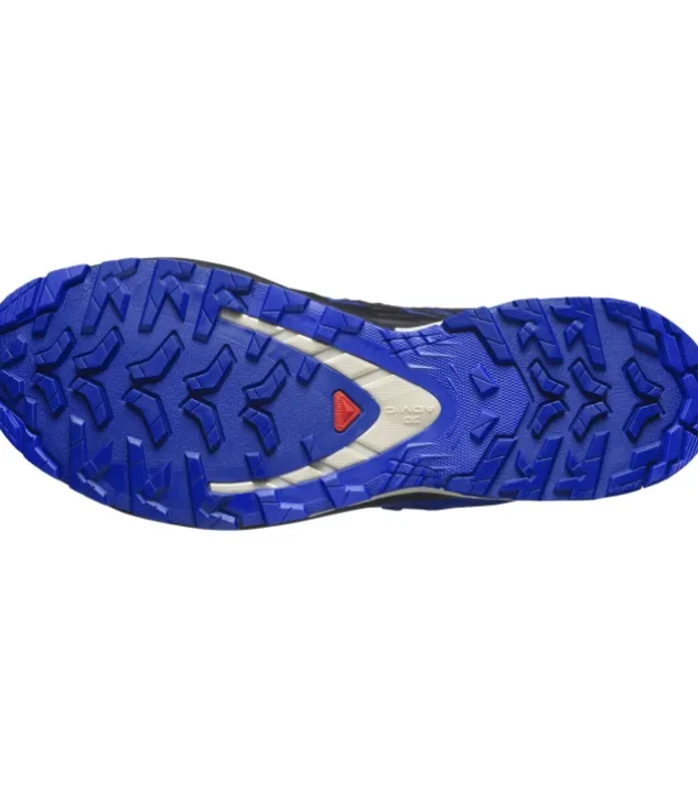 Salomon XA Pro 3D V9 GTX
