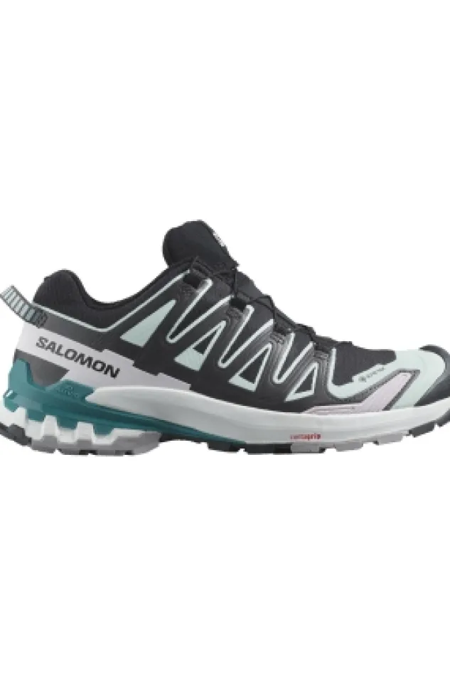 Salomon XA Pro 3D V9 GTX