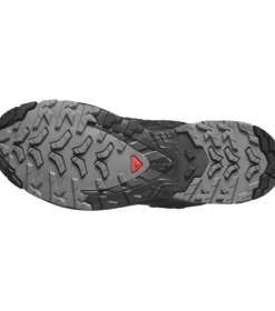 Salomon XA Pro 3D V9 GTX W