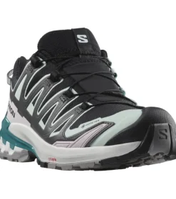 Salomon XA Pro 3D V9 GTX W