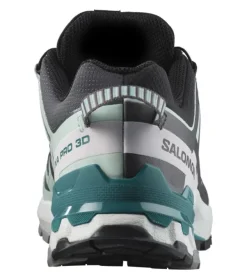 Salomon XA Pro 3D V9 GTX W