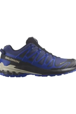 Salomon XA Pro 3D V9 GTX W